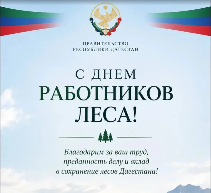 Магомед Рамазанов поздравил работников лесной отрасли с профессиональным праздником