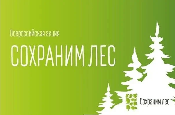 Осенью 2026 года в России стартует 8 сезон Всероссийской акции «Сохраним лес»
