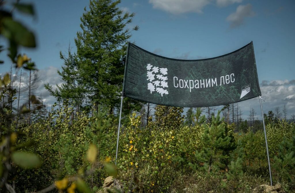 В Ногайском районе стартовала ежегодная акция « Сохраним лес»